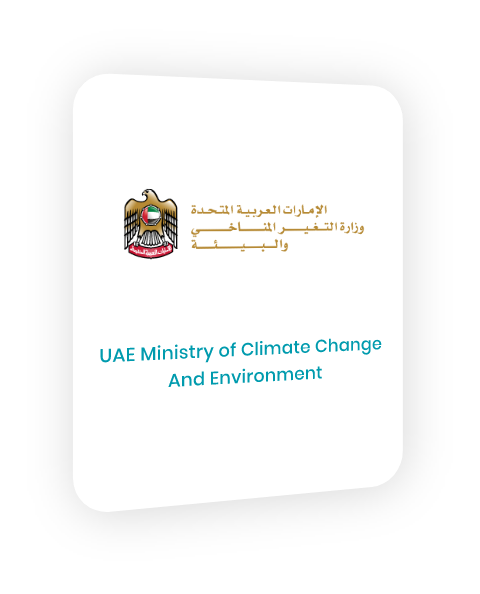 جامعة الإمارات العربية المتحدة