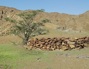 آثار الحياة في الجبال 
