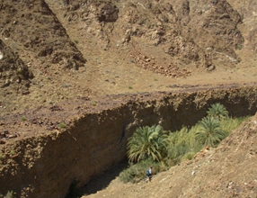  وادي في الفجيرة